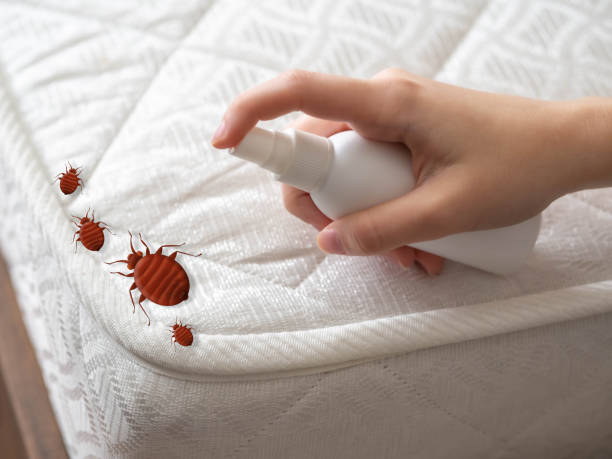 Best Pest Control Near Me  in Kerman, CA