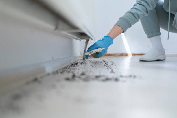 Best Local Pest Control Services  in Kerman, CA